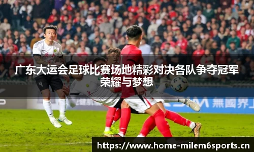 米乐m6体育官网